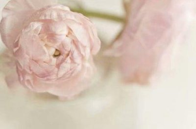 唯美性签名118句