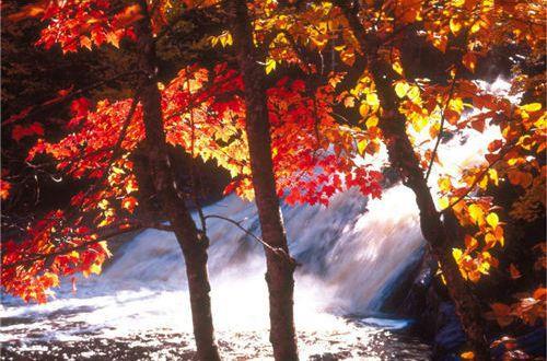 2015年独自相思个性签名