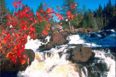 qq签名最新版女生101句