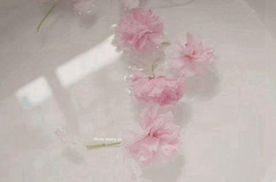 超拽的霸气签名句子(精选79句)