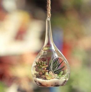 2024年幽默的平安夜微信语录(精选93句)