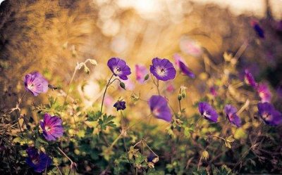 企业给客户中秋贺词87句