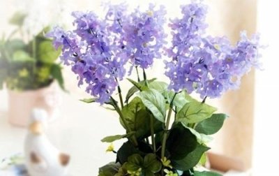 暗示我喜欢你的留言94句