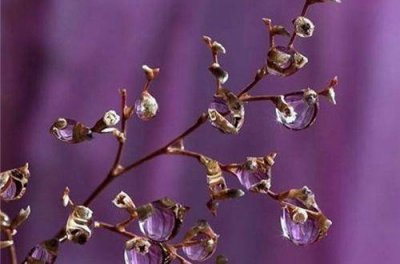 ​高级感的个性签名(15句)