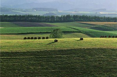 ​幼儿园教师爱心格言80句