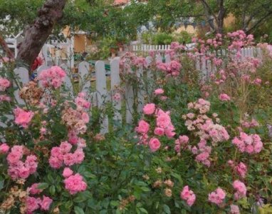 ​明志勤学格言49句