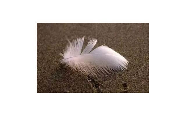 浪经典语录(浪一浪的经典语录) 浪经典语录(浪一浪的经典语录)