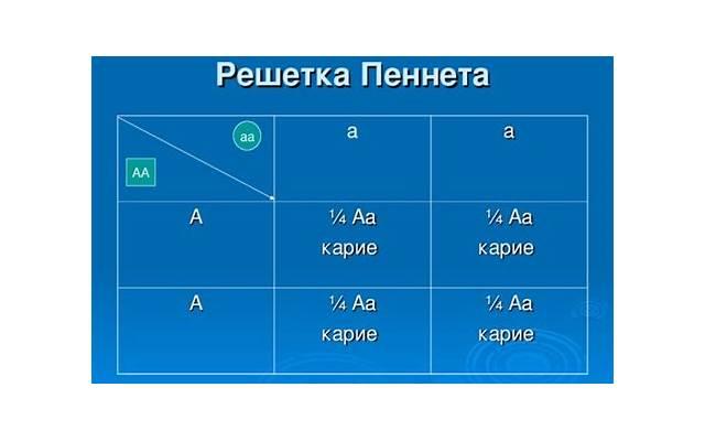 伤感爱情语录句句痛在心里