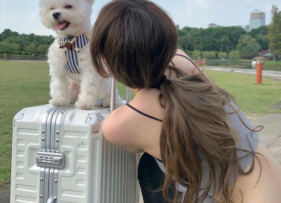 祝你幸福歌词情话给男朋友