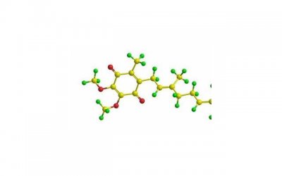 ​《姓薛的情话语录有哪些》精选10条