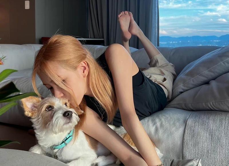 《最简单的情话dj何鹏mv》相惜发布