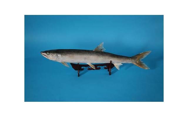 撩妹子必备介绍情话套路,让你秒变情场高手 撩妹子必备介绍情话套路,让你秒变情场高手