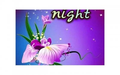 油腻的土味情话大全( 油腻的土味情话大全)