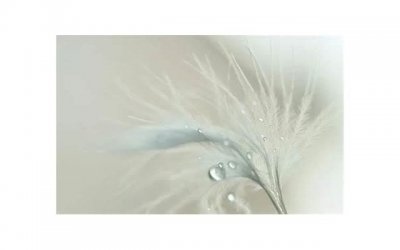 撩到自己的女孩子 土味撩妹情话晚安