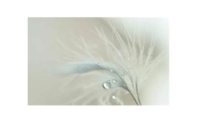 撩到自己的女孩子 土味撩妹情话晚安