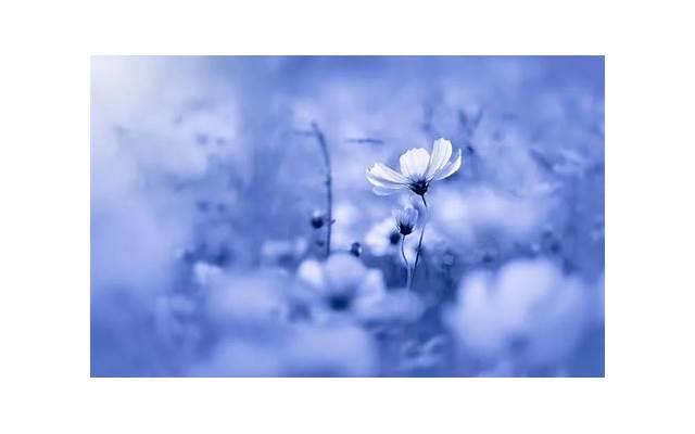 撩到女生害羞的土味情话(100句撩人情话撩男朋友)