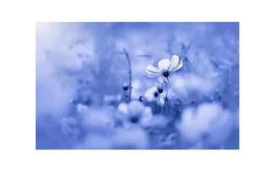 ​很甜很撩的动人情话(土味情话大全47条句句甜蜜暖心)