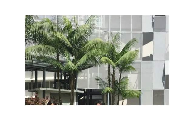 激励学生的句子经典语录【激励进步的句子经典语录】
