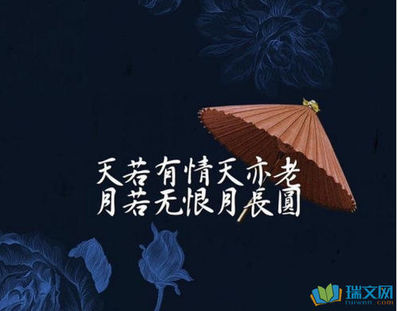 优美而又有诗意的句子 有诗意的句子