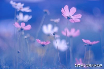 ​三年级语文上册扩句专项练习，附参考答案，快给孩子打印
