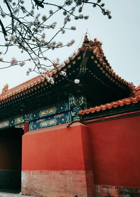 叶绍翁的《游园不值》古诗（游园不值题目的意思）