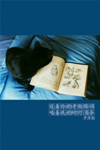 ​禅语经典语录,禅语人生境界的句子