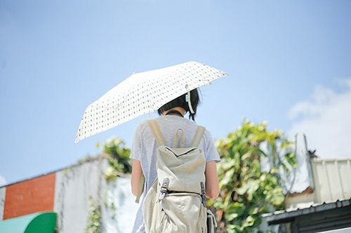 昆虫写拟人句59句