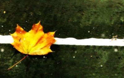 ​生日在愚人节说说 愚人节朋友圈说说