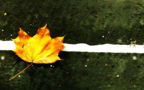 生日在愚人节说说