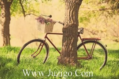 《英雄无泪》小说经典句子英雄无泪小说免费(精选26句)