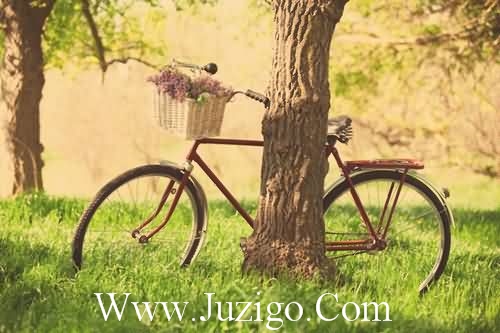 《英雄无泪》小说经典句子英雄无泪小说免费(精选26句)