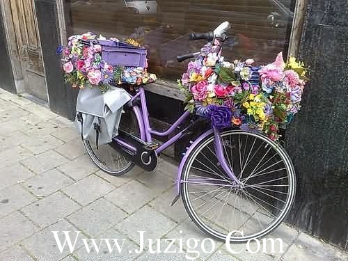 关于期待未来的说说关于期待的说说精选(精选30句)