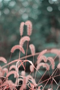 ​关于12月的伤感说说(qq关于伤感的说说心情短语)