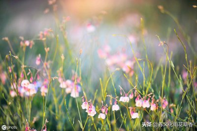 ​想要写好作文离不开阅读和摘抄，夏天句子摘抄唯美
