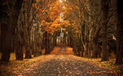 ​晚上跑步朋友圈说说心情(感觉好累压抑心情说说)