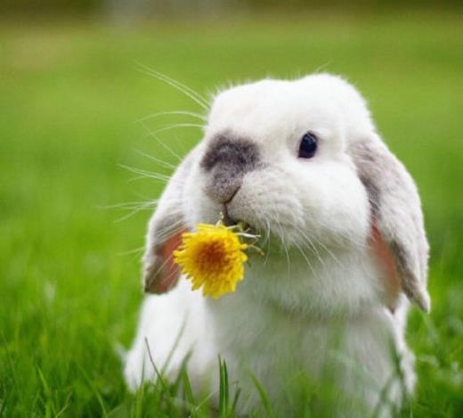 适合下雨天发的朋友圈幽默句子