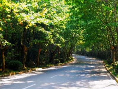 ​南京最美“紫金山”