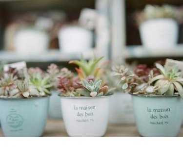 我是女王经典台词截图(灵魂有香气的女子语录)