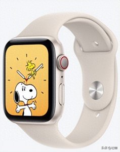 ​智能手表排行榜前十名