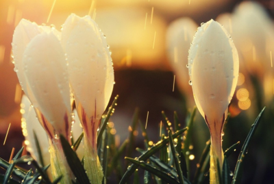 形容口才特别好的词语