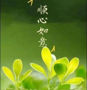 ​形容珍惜友情的句子唯美