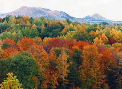 那些关于旅游的唯美简短句子