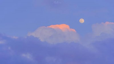 ​还算不错的高清电脑壁纸（40P）第115期