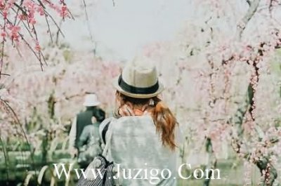 励志正能量晚安文案励志正能量晚安语录(精选128句)