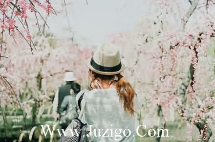 励志正能量晚安文案励志正能量晚安语录(精选128句)