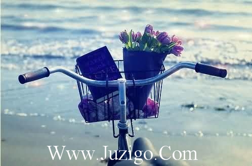 每日正能量短句子 每日正能量励志(精选132句)