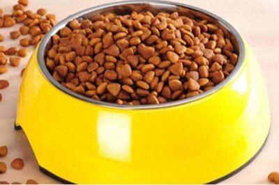 ​10万元的加工厂，一个农村家庭就能干，一年利润几十万！