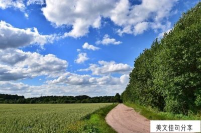 特别励志的句子简短(阳光简短励志唯美句子)