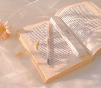 有关积极向上的励志句(精选84句)