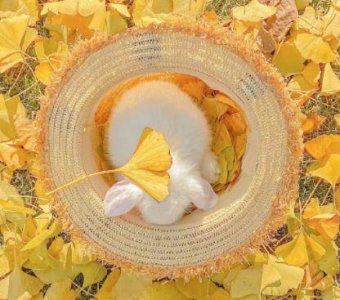 常用早安正能量语句74条